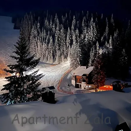 Apartman Apartma Zala, Golte Mozirje