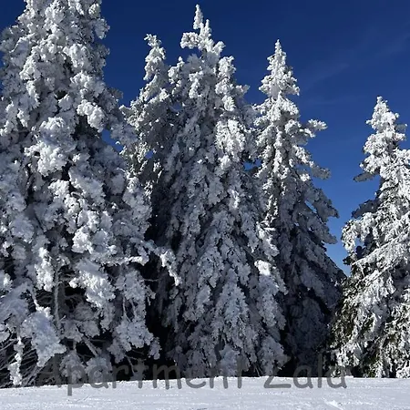 Apartma Zala, Golte Apartman Mozirje