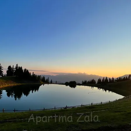 Apartman Apartma Zala, Golte Mozirje