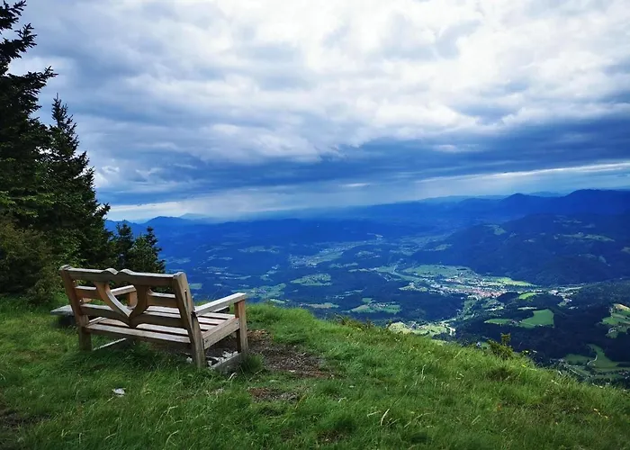 Apartma Zala, Golte Apartment Mozirje