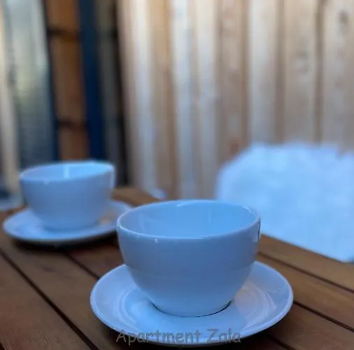 Apartma Zala, Golte Mozirje