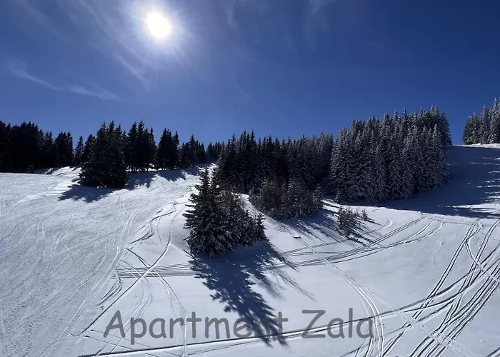 Appartamento Apartma Zala, Golte