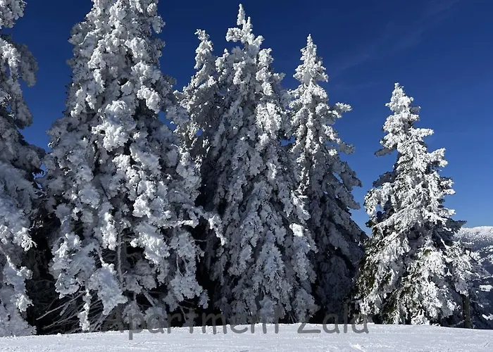 Apartma Zala, Golte Apartment Mozirje